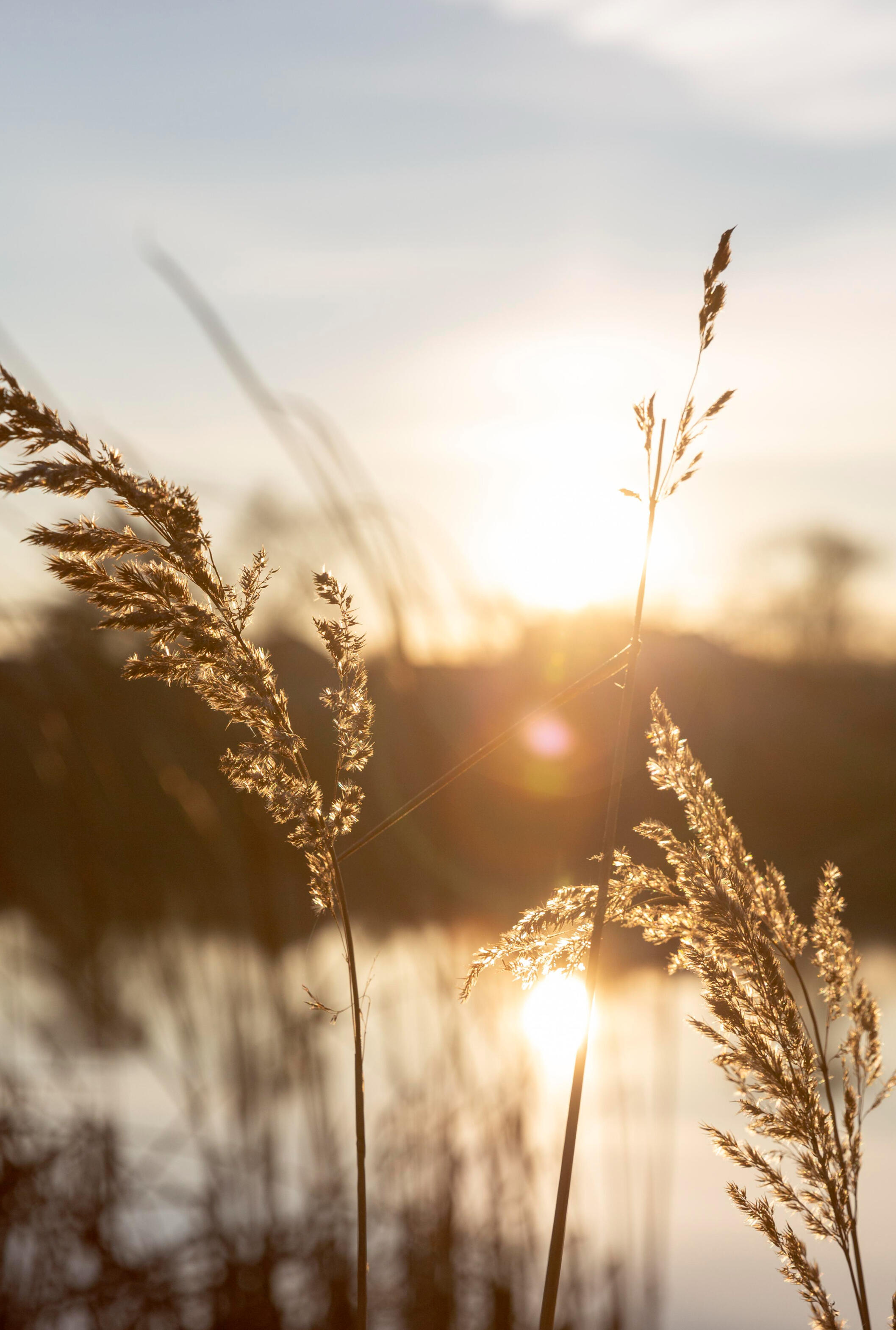 "Peaceful view of morning light", by freepik (https://www.freepik.com/author/freepik)